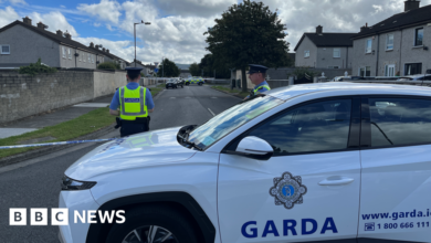Tallaght, Dublin: Three siblings killed in 'violent incident'