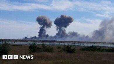 Saky Airport: Ukraine claims Crimea to blame after denying