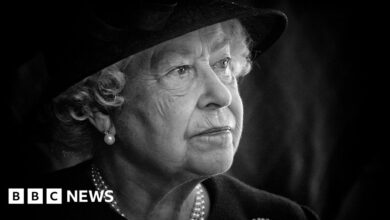 Queen Elizabeth II: A Daily Guide From Now To Funeral