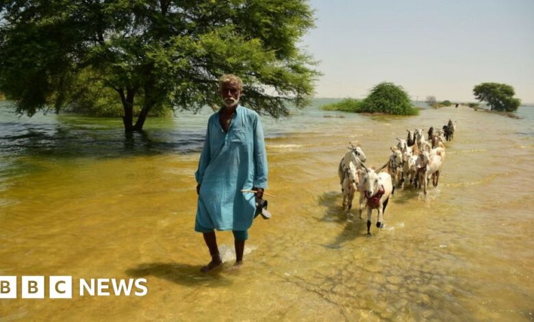 Floods in Pakistan put pressure on slowing economy