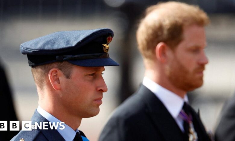 William and Harry together behind the Queen's coffin