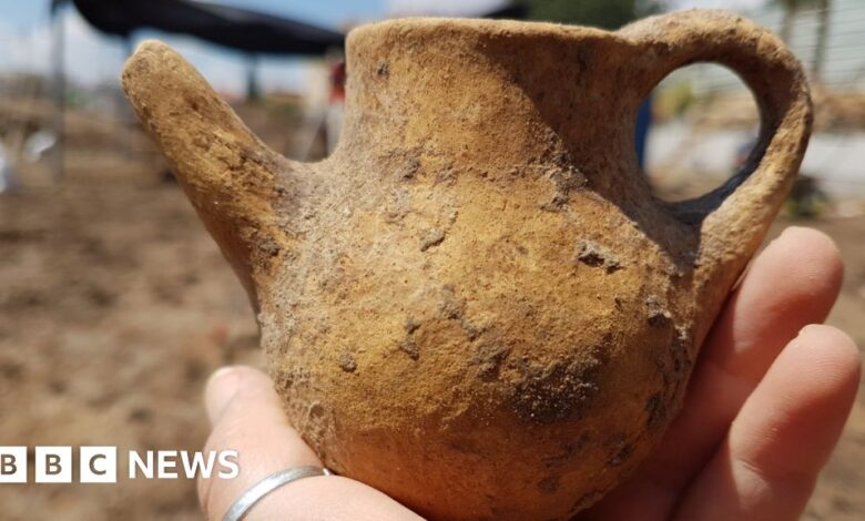 Earliest evidence of opium use found in burial ground in Israel