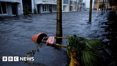 Hurricane Ian: Cities flooded and power cut as hurricane passes Florida