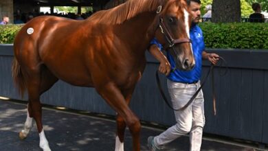 Momentum continues on day 5 of September sale at Keeneland