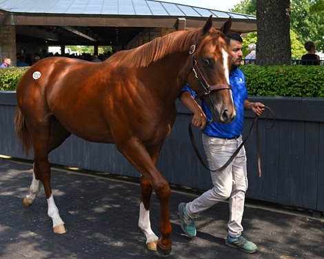 Momentum continues on day 5 of September sale at Keeneland
