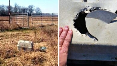 The cyclist saw the box "chewed" in the wild countryside, his heart sank when he opened it
