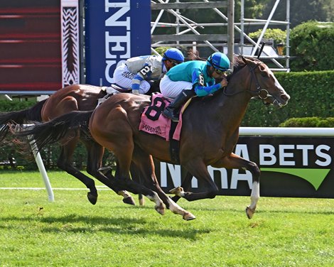 Switch to Turf Pays Off for General Jim in Saratoga