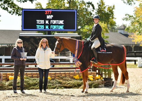 The hybrid shines in the TAKE2 Hunter/Jumper finals
