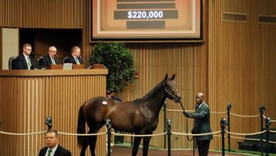 Kick off the 5 amazing book at Keeneland September sale