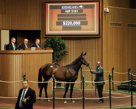 Kick off the 5 amazing book at Keeneland September sale
