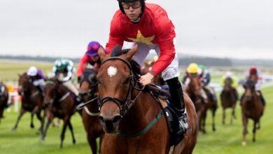 Highfield Princess Crushing Competition at Curragh