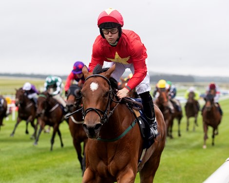 Highfield Princess Crushing Competition at Curragh