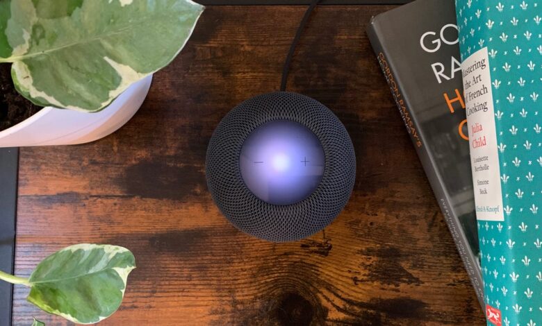 HomePod mini is for serious Apple users only