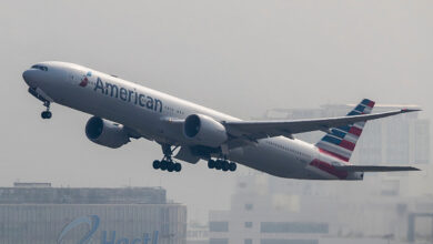 American Airlines Passenger Filmed Sucker Punching Attendant