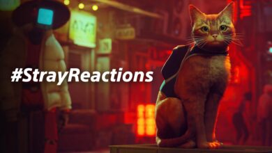 Announces Stray Reactions, a photo event for pet lovers that support ASPCA® - PlayStation.Blog