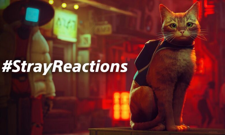 Announces Stray Reactions, a photo event for pet lovers that support ASPCA® - PlayStation.Blog