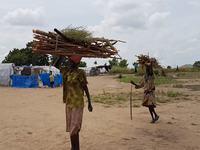 South Sudan: Human rights violations in Unity state 'punished' |