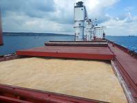 UN officials see progress as global food prices fall amid ongoing Black Sea grain trade |