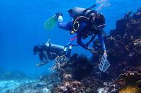 Women lead marine restoration efforts in the UNESCO Seaflower Biosphere Reserve |
