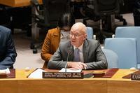 Somalia: UN special envoy calls for cooperation to achieve new administration goals |