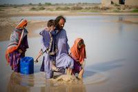Pakistan: UN scales up financing and other support after 'latest climate tragedy' |