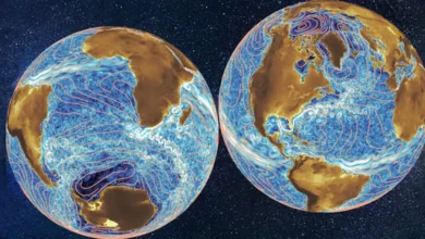University of Rochester Researchers Go 'Outside of the Box' to Identify Major Ocean Currents - Is It Up With That?