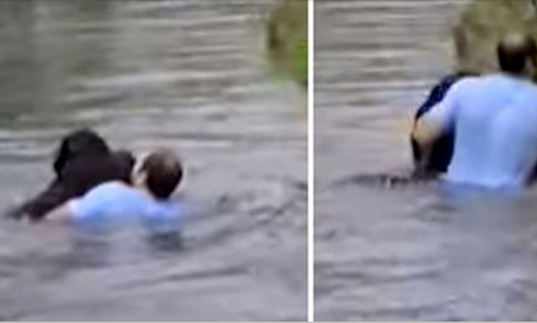 Zoo staff 'refused' to save drowning savior, man suddenly jumped into enclosure