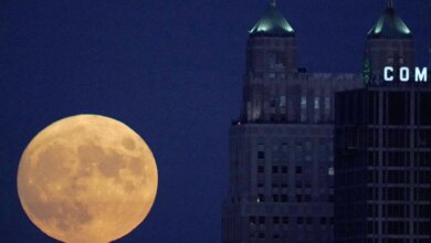 See the glorious super moon today!  Don't miss this great opportunity