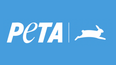 PETA Germany Threatens Sex Strike Unless Climate Destroys Meat Is Banned - Would You Revolt With That?