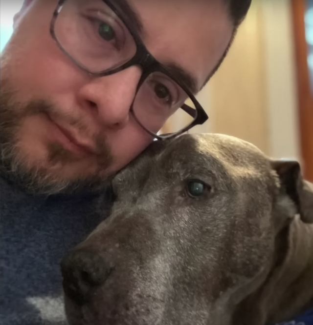 Pit Bull cuddles dad