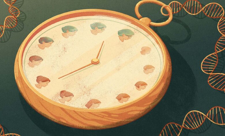Epigenetic 'clock' predicts true biological age of animals