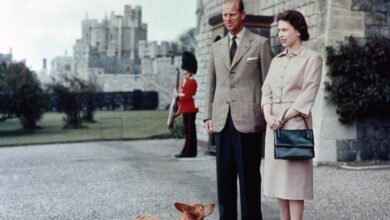 A look at Queen Elizabeth's beloved breed - Dogster