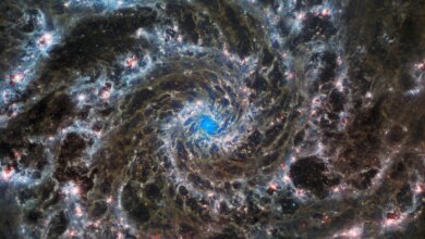 NASA's Webb Telescope captures new details of the Phantom Galaxy 32 million light-years away