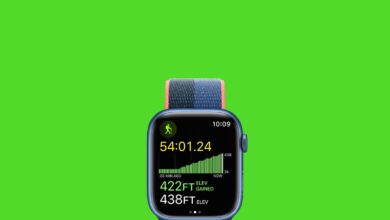 Apple WatchOS 9 (2022): New features, how to download, compatibility