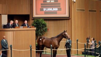 'Avengers' Take Home Three Yearlings $1.05 Million on Day 3