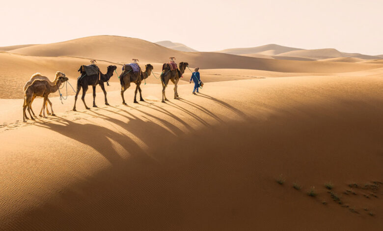 Amazing desert photography in Morocco