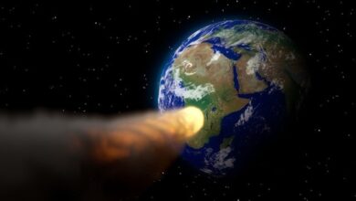 Killed, grilled, buried!  The terrifying impact of the asteroid turns living things on Earth into coal