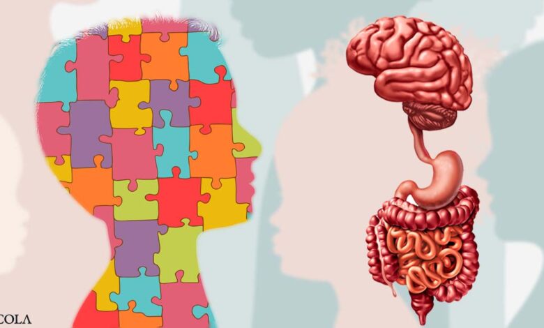 Study confirms gut-brain connection in autism