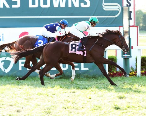 The Reckoning Force proved it at the Kentucky Downs