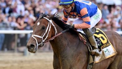 Belmont Mo Donegal winner retired to spend