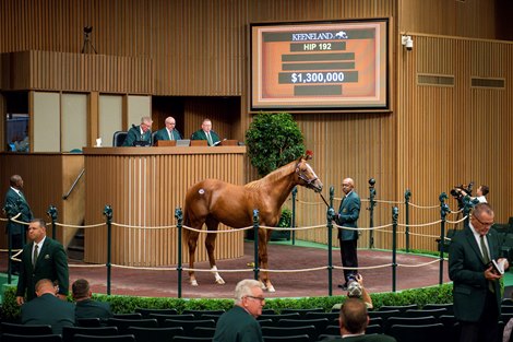 Early Colt Rolls Constitution up to $1.3M in Keeneland