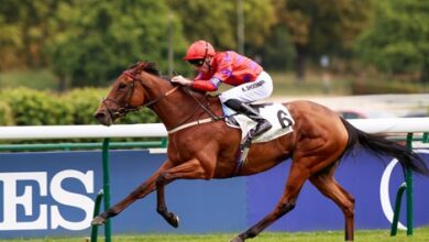 Dreamloper wins Prix Moulin Highlighted by Coroebus Tragedy