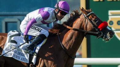 Slow Andy Wins Grass Debut in Del Mar Derby