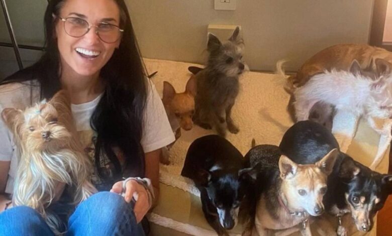 Demi Moore has the perfect content to live a single life with 9 dogs