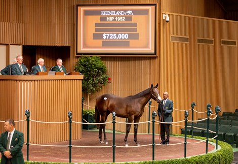 Strong trading continues on 6th in Keeneland