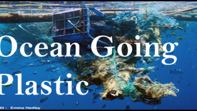 A plastic ocean - Fishing gear - Floating with it?