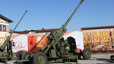 Desperate for antiques - Ukraine seizes Stalin-era anti-aircraft guns