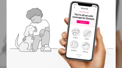 Lemonade brings digital ease when it comes to pet insurance for your dog