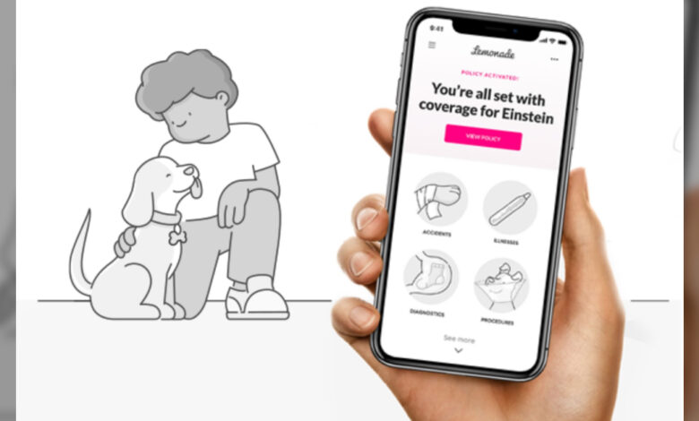 Lemonade brings digital ease when it comes to pet insurance for your dog