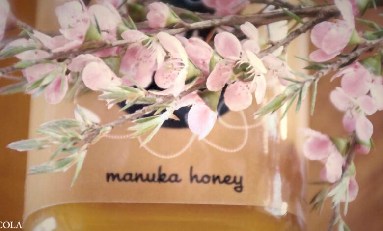Manuka honey helps fight antibiotic-resistant lung infections